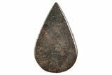 Stony Chondrite Cabochon ( g) - Meteorite #238218-1